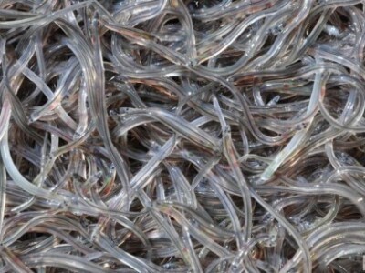 Ribnjačarstvo Poljana