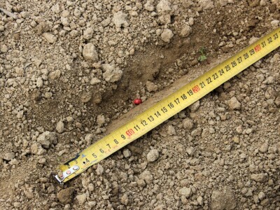 Proljetna sjetva pneumatskim Horsch sijaćicama