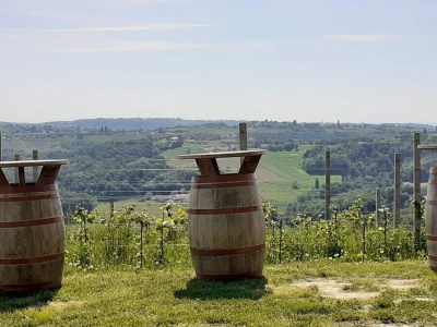 Hortus Croatiae
