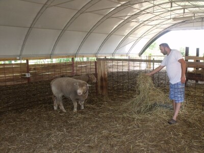 Horvatovi u Klokočevcima