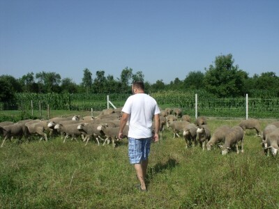 Horvatovi u Klokočevcima