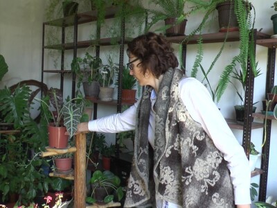 Hotel za drveće i cveće u Drljanu