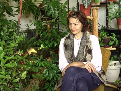 Hotel za drveće i cveće u Drljanu