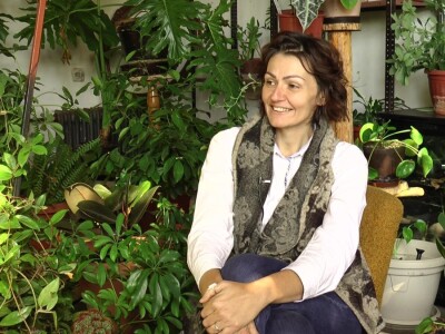 Hotel za drveće i cveće u Drljanu