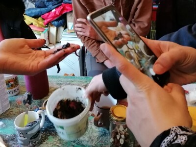 Hotel za gliste u Vrbanima