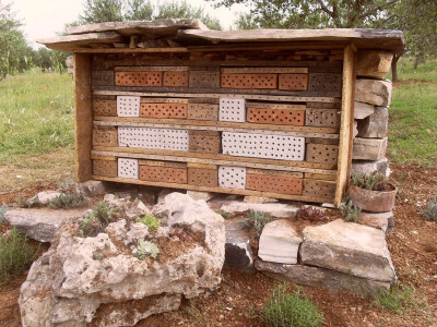 Poveći kamen sa žednjacima i čuvarkućama ispred hotela Poveći kamen sa žednjacima i čuvarkućama ispred hotela