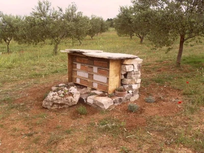 Pčele će u rupice položiti jajašca