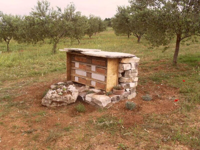 Pčele će u rupice položiti jajašca Pčele će u rupice položiti jajašca