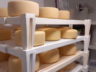 HPK - Akcijski plan mljekarstva HPK - Akcijski plan mljekarstva