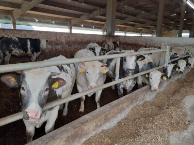 HPK protiv smanjenja proračuna za ZPP