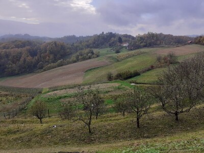 HPK protiv smanjenja proračuna za ZPP