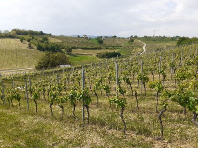 HPK protiv smanjenja proračuna za ZPP