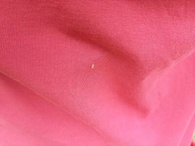 Hrastova mrežasta stenica