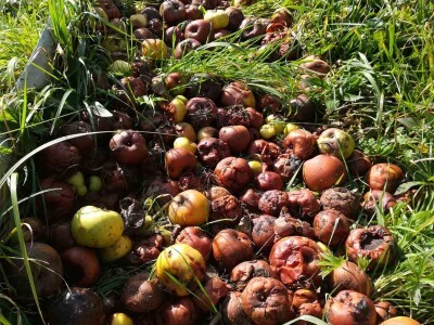 Obitelj Hren uspješno je spojila ekološku proizvodnju i turističku ponudu