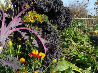 Obitelj Hren uspješno je spojila ekološku proizvodnju i turističku ponudu