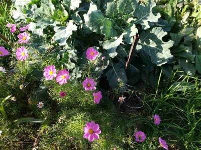 Obitelj Hren uspješno je spojila ekološku proizvodnju i turističku ponudu