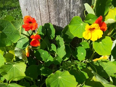 Obitelj Hren uspješno je spojila ekološku proizvodnju i turističku ponudu