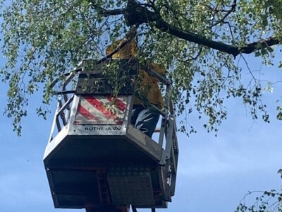 Hrvatska pčelarska služba 112