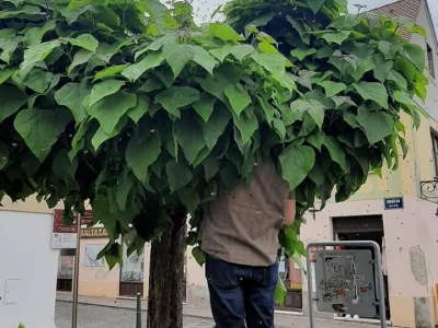 Hrvatska pčelarska služba 112