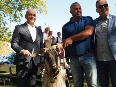 Hrvatska poljoprivredna agencija