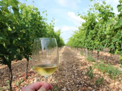 Hrvatska ugostila agrarne novinare iz 15 zemalja Europe