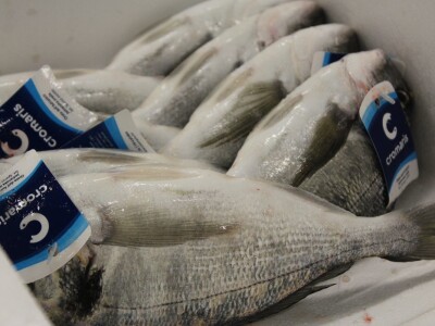 Hrvatska ugostila agrarne novinare iz 15 zemalja Europe