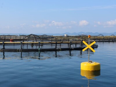 Hrvatska ugostila agrarne novinare iz 15 zemalja Europe