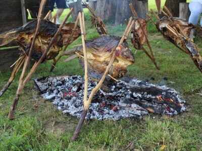 Hrvatska ugostila agrarne novinare iz 15 zemalja Europe