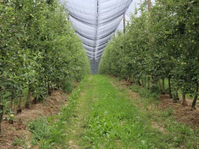 Hrvatska ugostila agrarne novinare iz 15 zemalja Europe