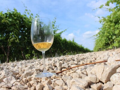 Hrvatska ugostila agrarne novinare iz 15 zemalja Europe