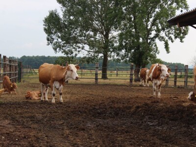 Hrvatska ugostila agrarne novinare iz 15 zemalja Europe