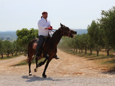 Hrvatska ugostila agrarne novinare iz 15 zemalja Europe