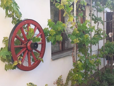 Hrvatska vinska  kultura - monografija