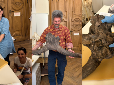 Hrvatske autohtone vrste pred izumiranjem