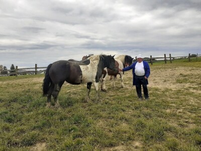 Hrvatski hladnokrvnjaci Petra Jadeka