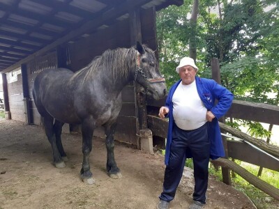 Hrvatski hladnokrvnjaci Petra Jadeka