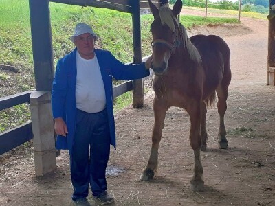 Hrvatski hladnokrvnjaci Petra Jadeka