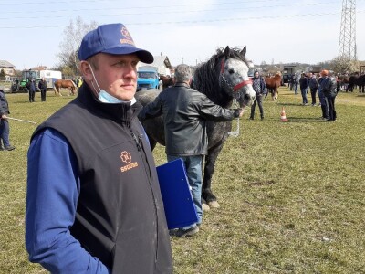 Hrvatski hladnokrvnjak