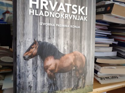 Hrvatski hladnokrvnjak Hrvatski hladnokrvnjak