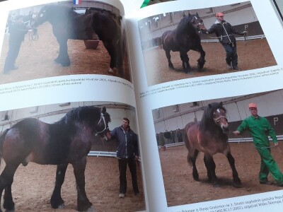 Hrvatski hladnokrvnjak Hrvatski hladnokrvnjak