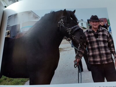 Hrvatski hladnokrvnjak Hrvatski hladnokrvnjak