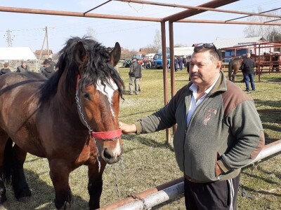 Hrvatski hladnokrvnjak