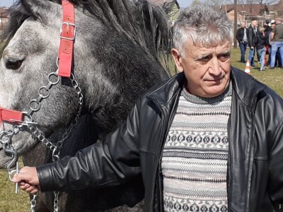 Hrvatski hladnokrvnjak