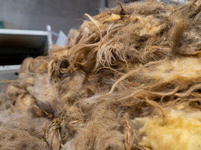 Hrvatski proizvodi od ovčje vune ponovno certificirani za ekološku poljoprivredu