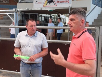 Hrvatski stočari u Austriji