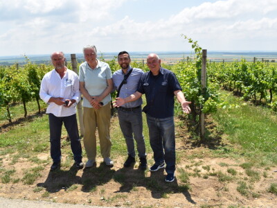 Hrvatski vinski brevijar