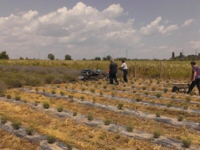 Vrijedni članovi gospodarstva Hržica