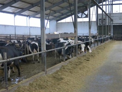 HUMP predstavio planove pomoći mladim poljoprivrednicima