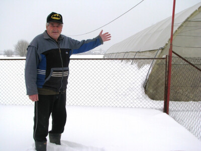 Husref pokazuje veliki plastenik za povrće