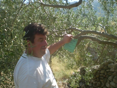 Đordan Gurdulić